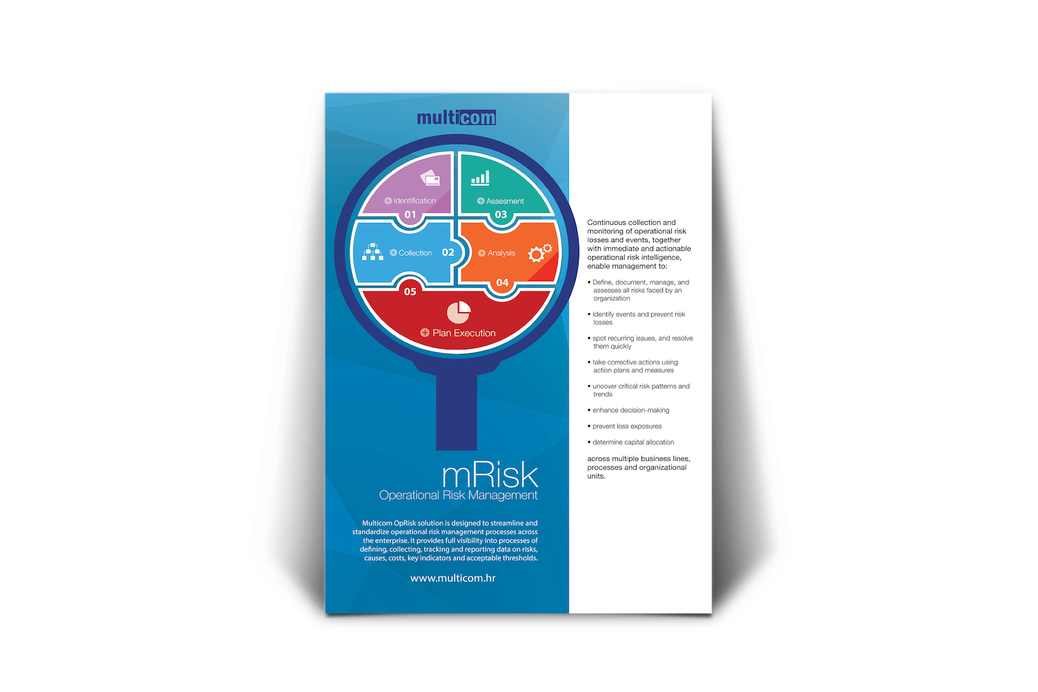 mRisk Datasheet
